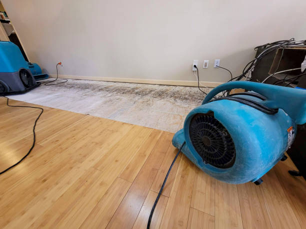 Professional Ceiling Water Damage Repair technician working in Landers, CA